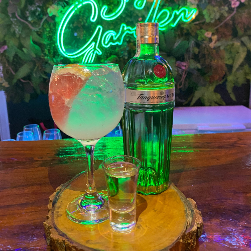Gin and Tonic Premium con Tanqueray Ten