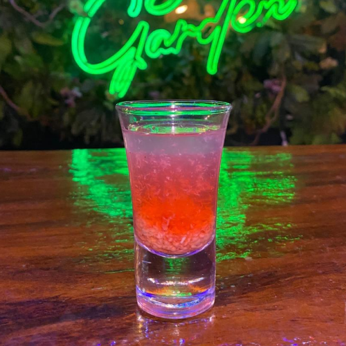 Cerebro de mono shot